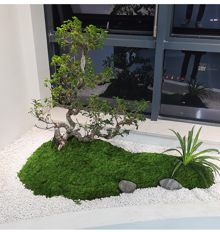 Preserved Moss Sheet - Artificial moss filaments moss lawn people