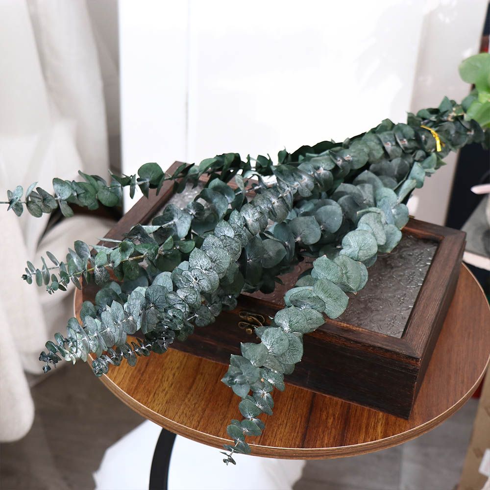 10 Pcs Real Leaves Hanging Dri - Eucalyptus Preserved recension och pris