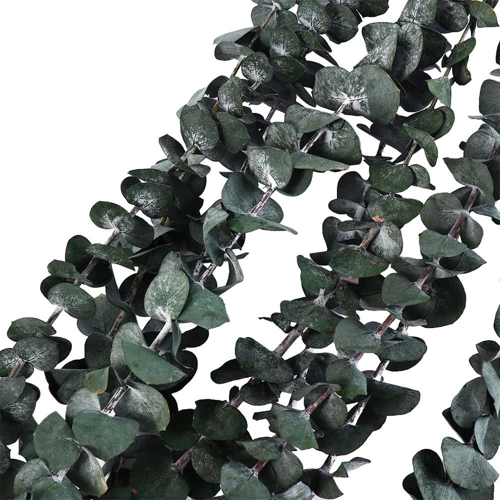 10 Pcs Real Leaves Hanging Dri - Eucalyptus Preserved recension och pris
