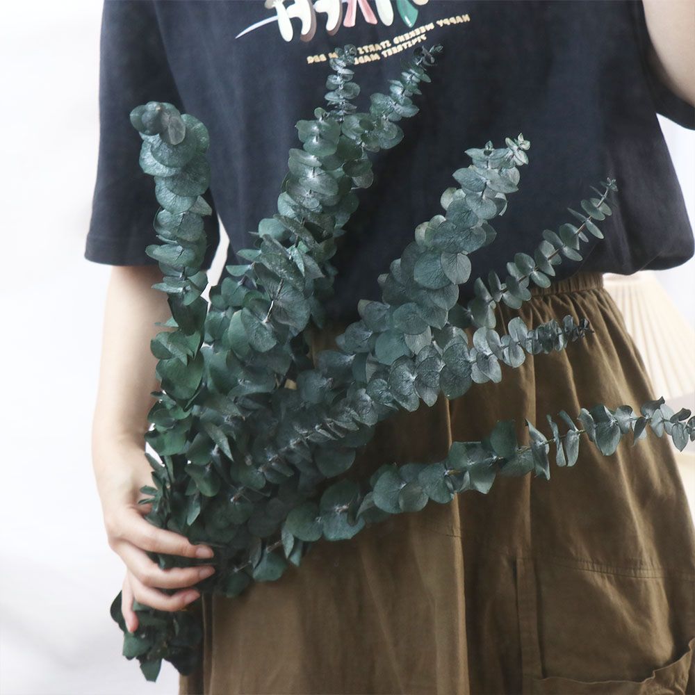 10 Pcs Real Leaves Hanging Dri - Eucalyptus Preserved recension och pris