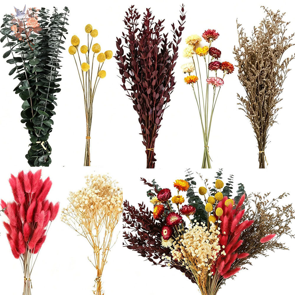 Dried Flowers Bulk Set 7 Kinds - Florist Flower Supply recension och pris