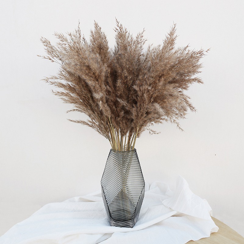 10Pcs Colorful Natural Reeds P - Florist Supply Vases recension och pris