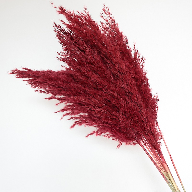 10Pcs Colorful Natural Reeds P - Florist Supply Vases recension och pris