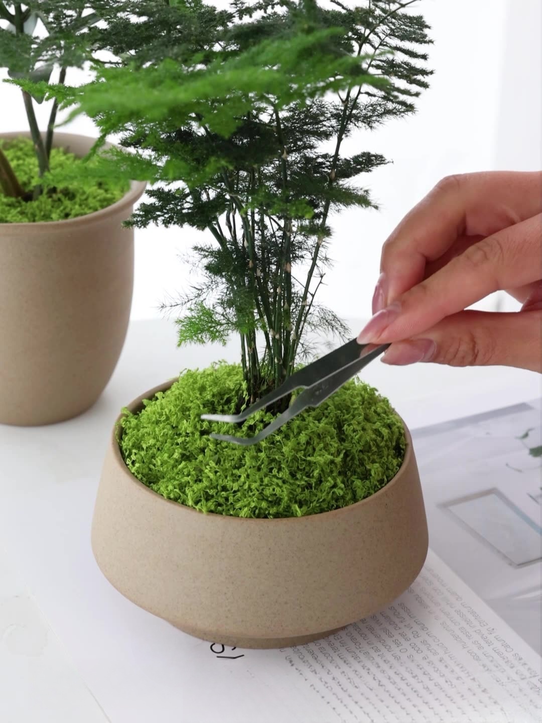 Artificial moss filaments moss - Preserved Moss Sheet recension och pris